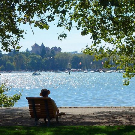 Charmant T3 Renove En Centre-Ville D'Annecy Avec Balcon, Ascenseur Et Parking Prive - Fr-1-432-83 Dış mekan fotoğraf
